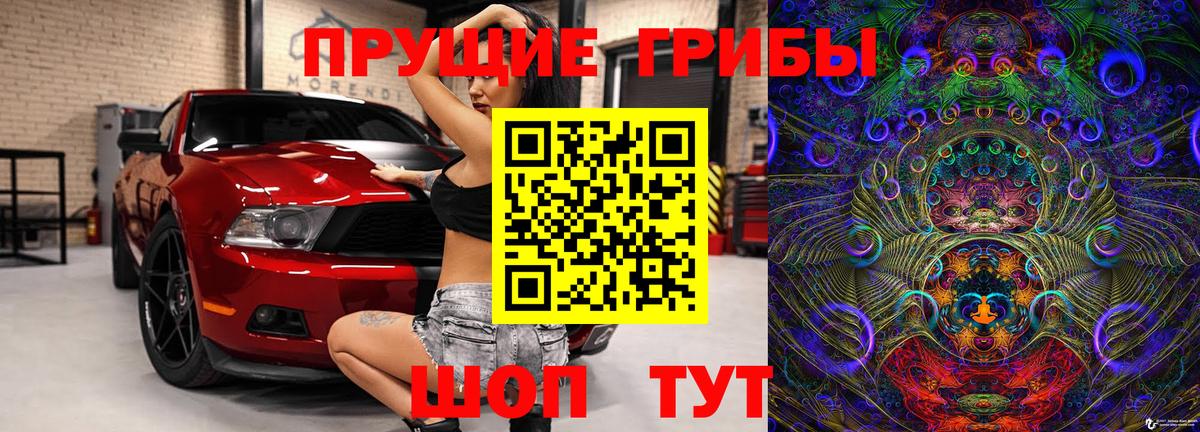 Галлюциногенные грибы Psilocybe Новоалександровск