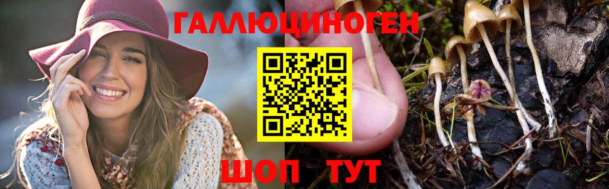 Галлюциногенные грибы MAGIC MUSHROOMS  Вход с VPN  Новоалександровск 