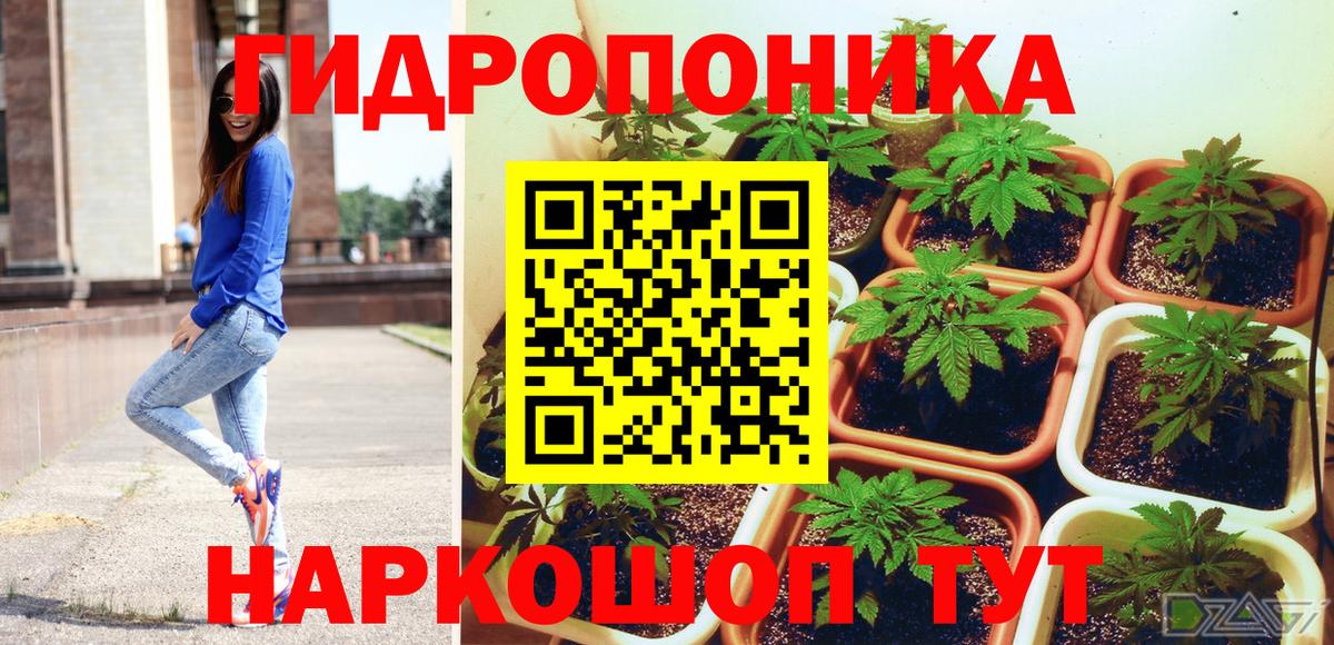 Канабис конопля  Каннабис Ganja  Новоалександровск  Вход с VPN  Бошки Шишки LSD WEED 